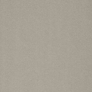 043-80 Taupe (Performance Fabric)