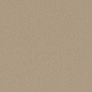 984-80 Oat (Performance Fabric)