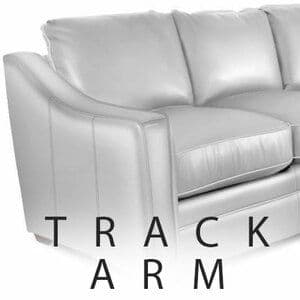 Track Arm