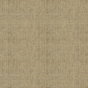 20677 Linen  (Performance Fabric)